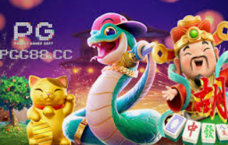 南宫app2024最新版